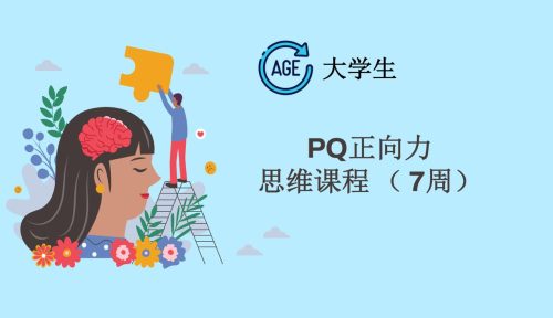 PQ正向力思维课 (7周)